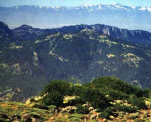 SIERRA DE LAS BANDERILLAS- AL FONDO SIERRA NEVADA